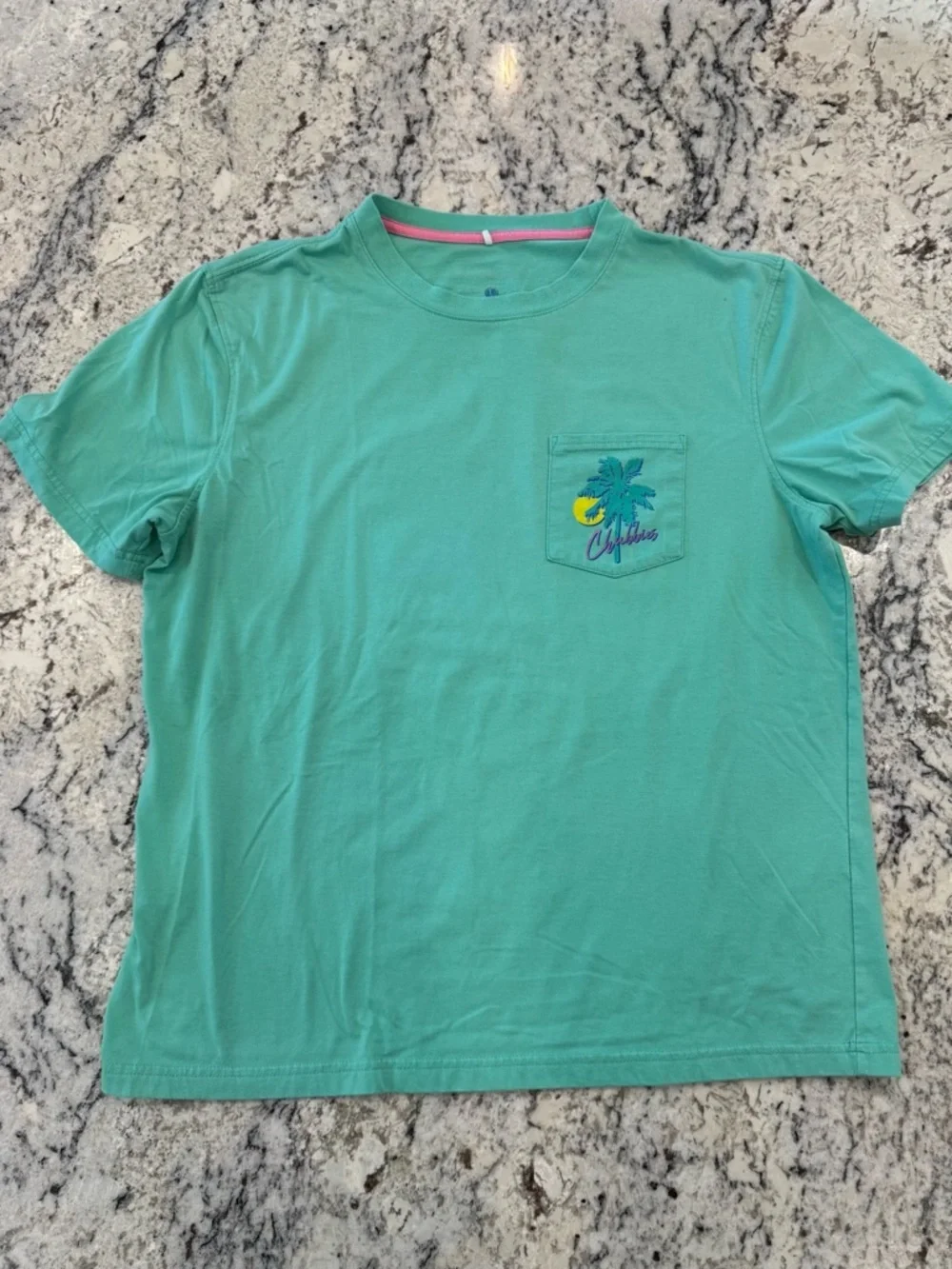 Chubbies Sky’s Out Thighs Out Tee Large Teal Palm Graphic Pocket Shirt